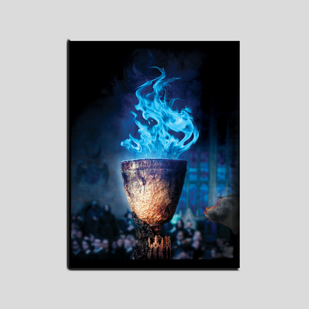 Cuadro Harry Potter   (Envío gratis y pago contra entrega)