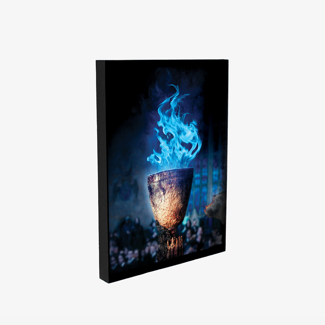 Cuadro Harry Potter   (Envío gratis y pago contra entrega)