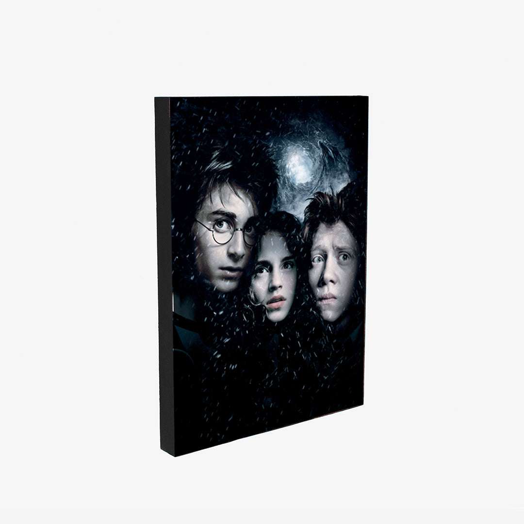 Cuadro Harry Potter   (Envío gratis y pago contra entrega)