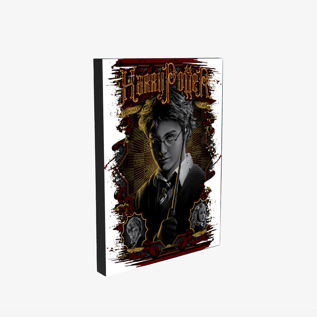 Cuadro Harry Potter   (Envío gratis y pago contra entrega)