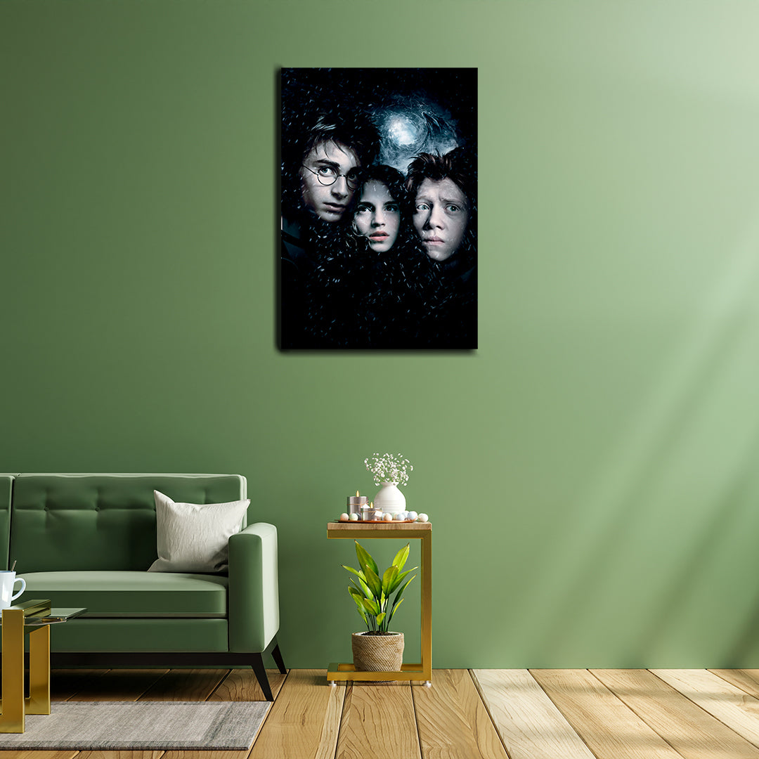 Cuadro Harry Potter   (Envío gratis y pago contra entrega)