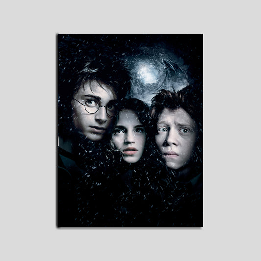 Cuadro Harry Potter   (Envío gratis y pago contra entrega)