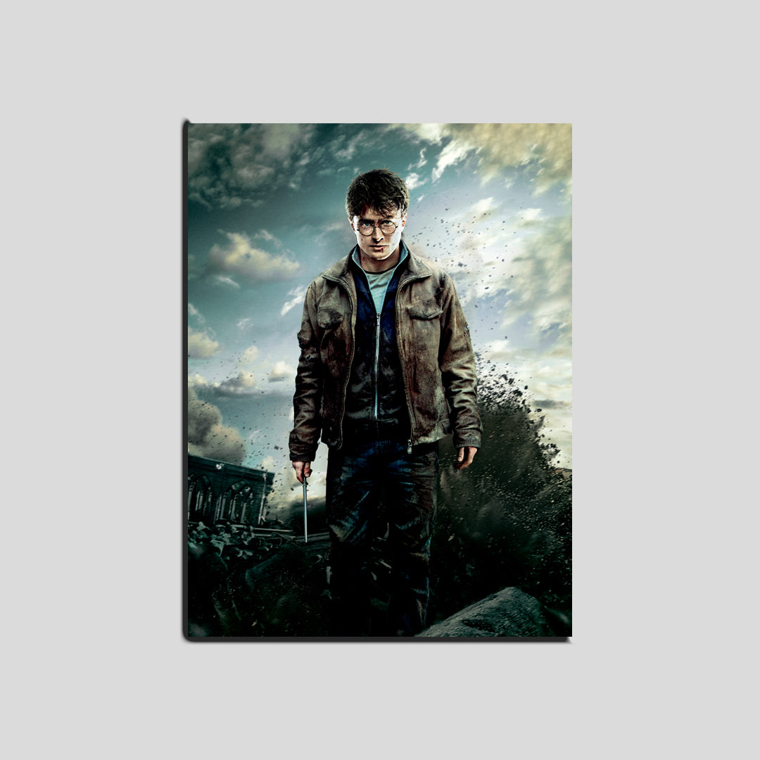 Cuadro Harry Potter   (Envío gratis y pago contra entrega)