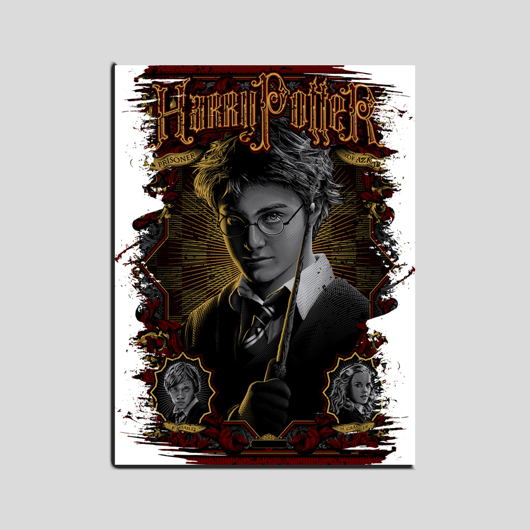 Cuadro Harry Potter   (Envío gratis y pago contra entrega)