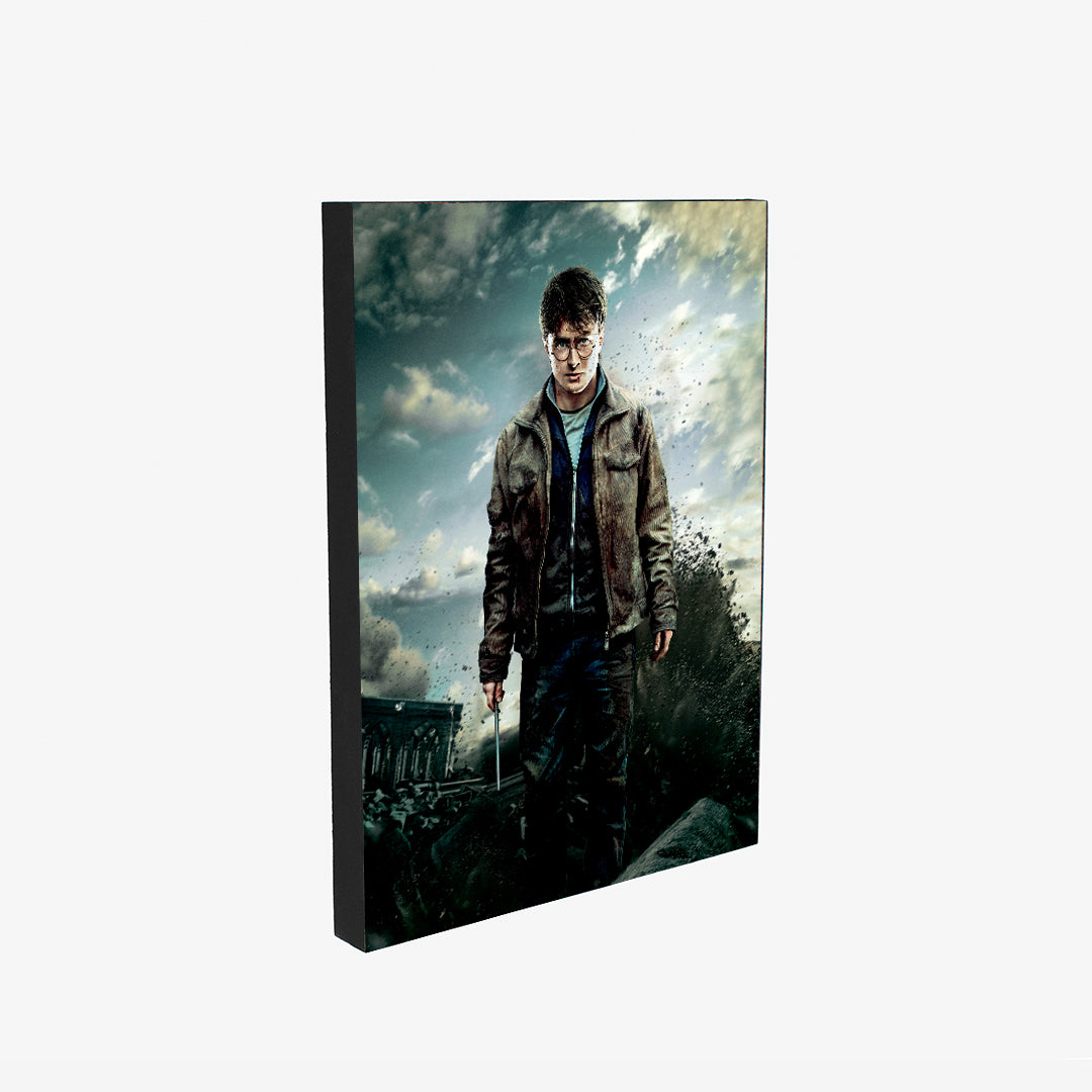Cuadro Harry Potter   (Envío gratis y pago contra entrega)