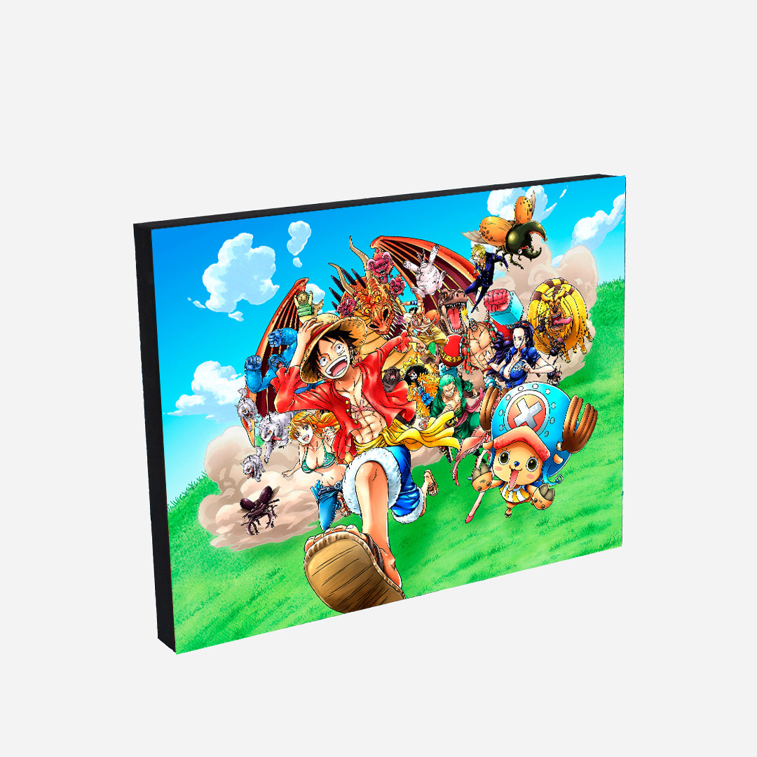 Cuadro temático One Piece  (Envío Gratis y pago contra entrega)