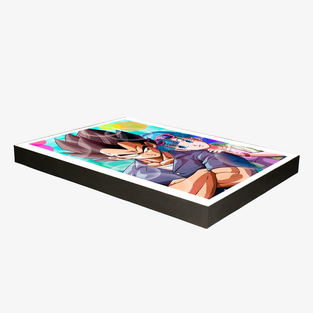 Cuadro Dragon Ball Bulma y Vegeta (Envío gratis y pago contra entrega)