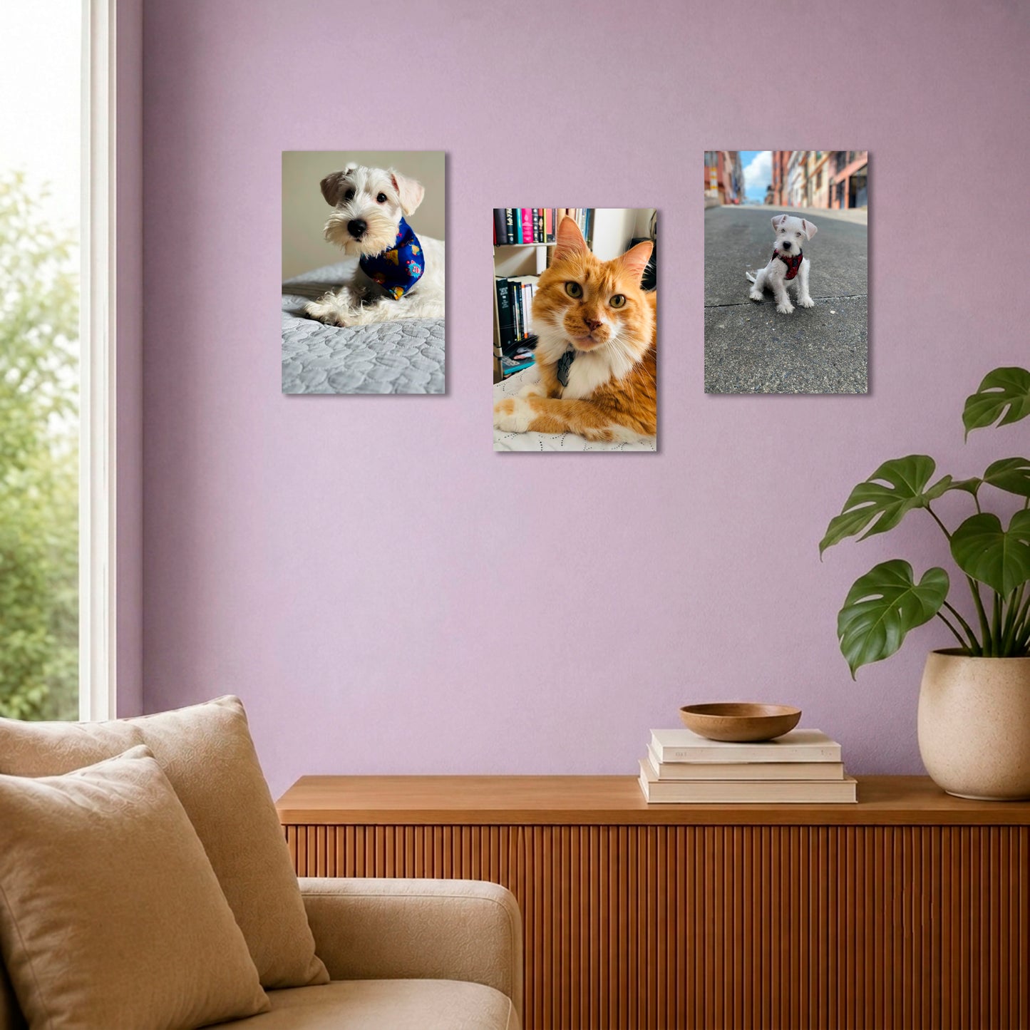 Combo 3 Cuadros Personalizado para Mascotas| 20x30 cm
