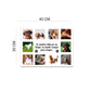 Cuadro Personalizado para Mascotas con 10 Fotos | 40X30 CM