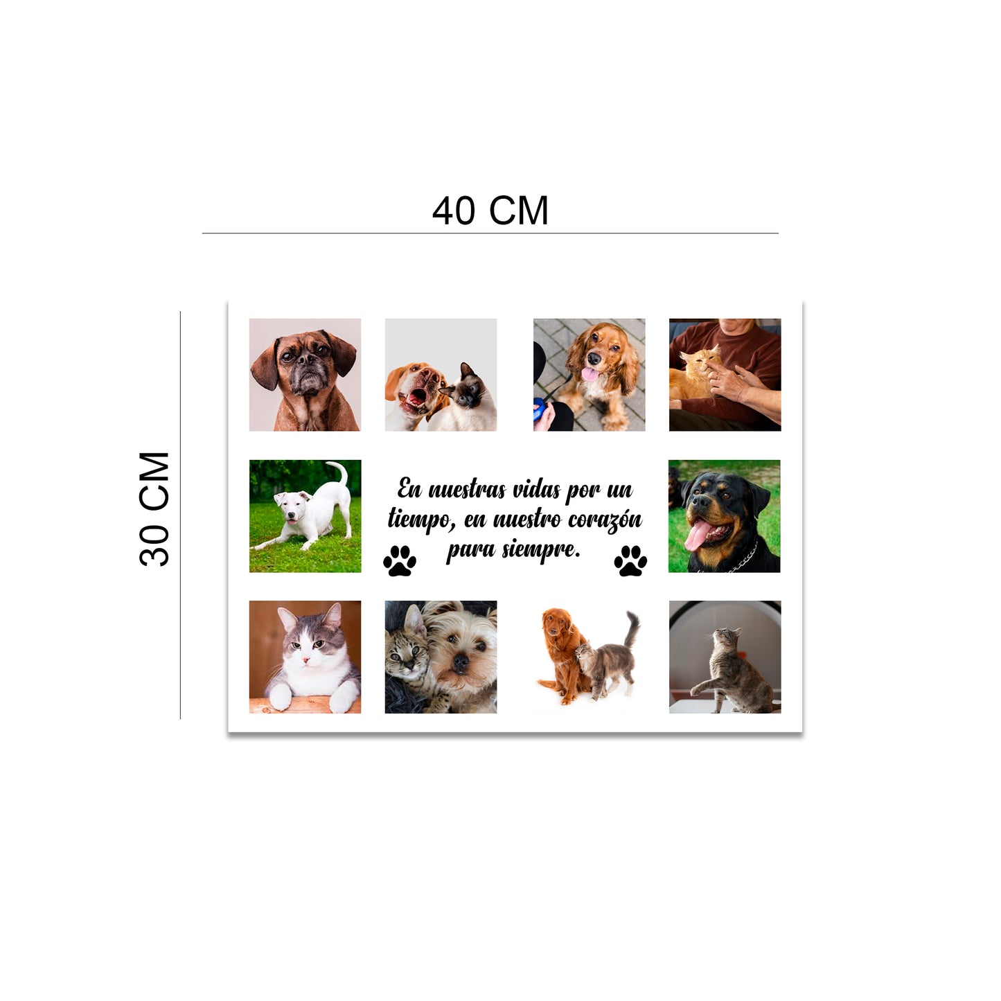 Cuadro Personalizado para Mascotas con 10 Fotos | 40X30 CM