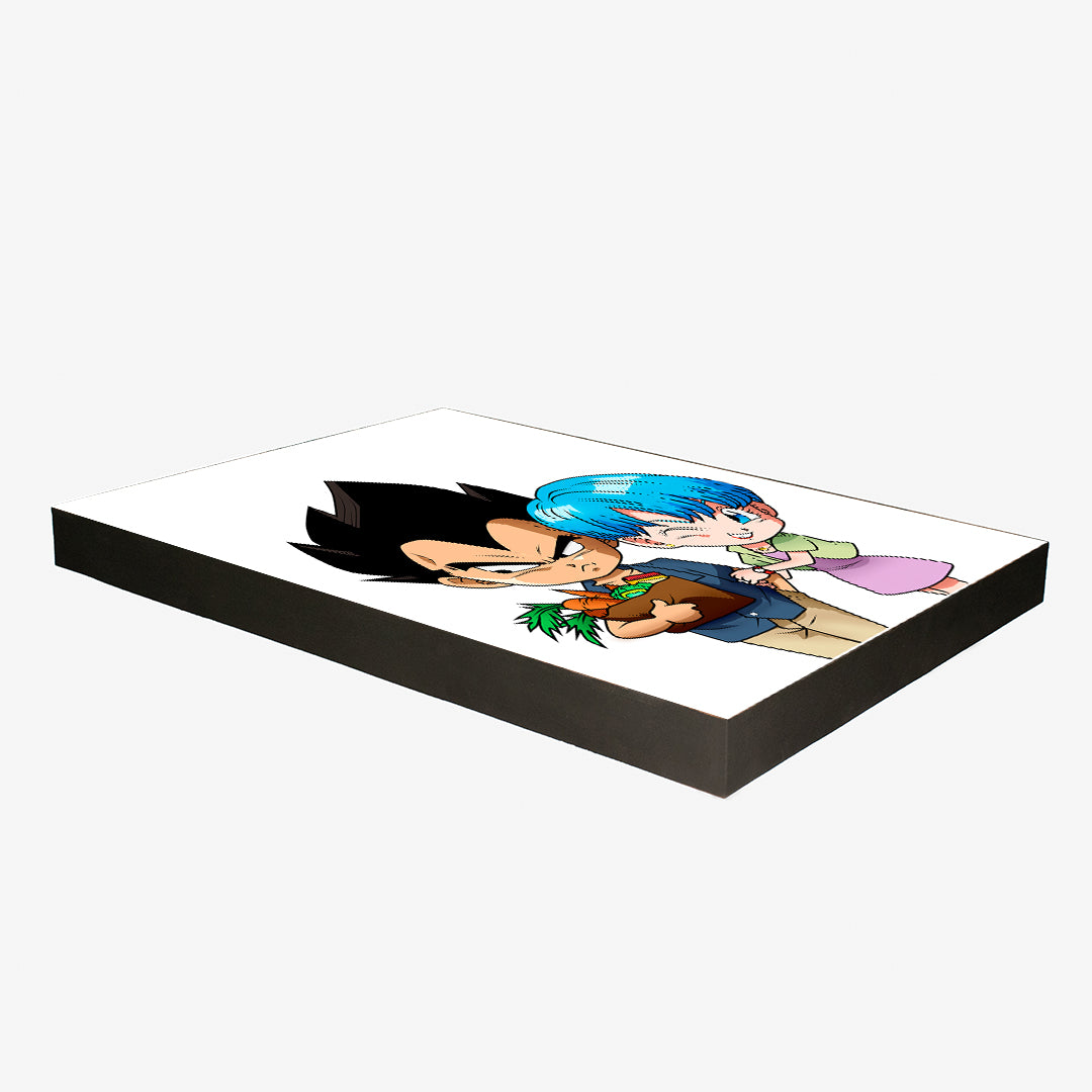 Cuadro Dragon Ball Bulma y Vegeta (Envío gratis y pago contra entrega)